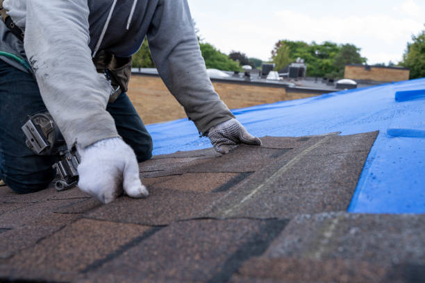 Best Storm Damage Roof Repair  in Lula, GA