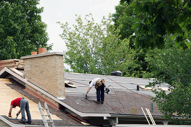 Best Storm Damage Roof Repair  in Lula, GA