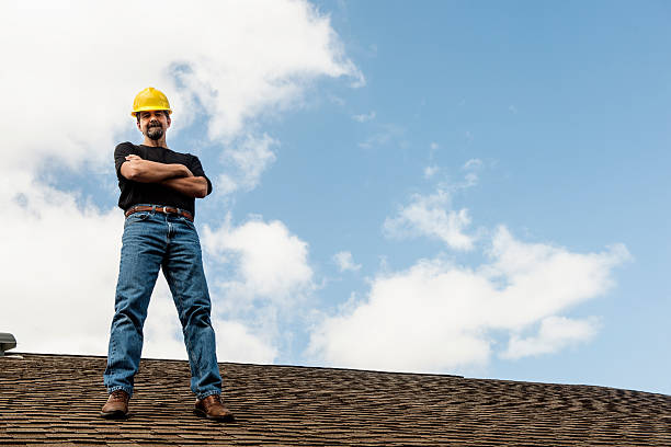 Best Roof Gutter Cleaning  in Lula, GA